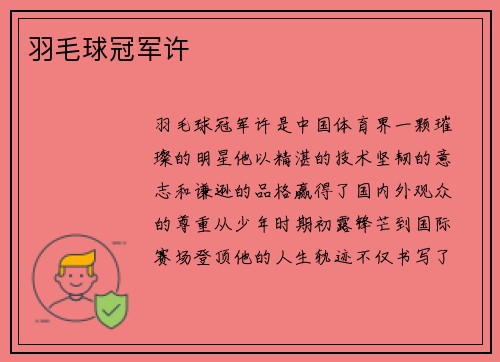 羽毛球冠军许